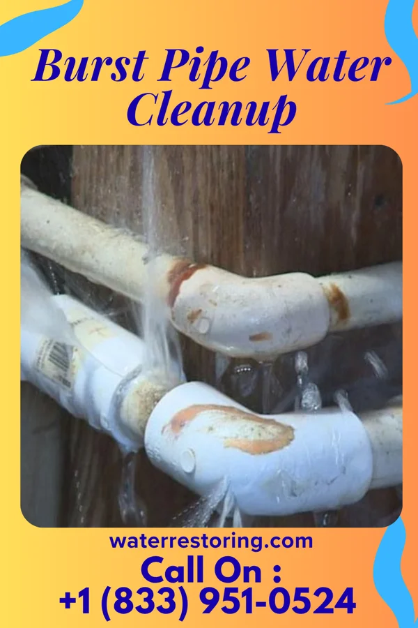 Burst Pipe Water Cleanup in Allen, KS